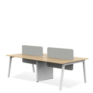 Salient Workstation