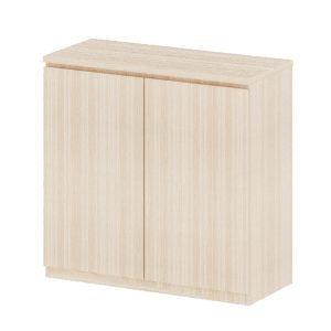 Swing Door Cabinet